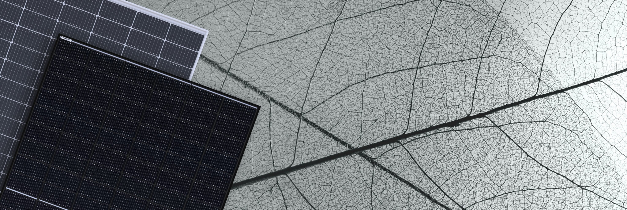 Boviet Pvmodulecombined Webhero Grey 1 1
